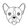 hand draw face dog icon Royalty Free Stock Photo