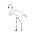 Hand draw flamingo style sketch on a black white