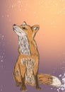 Hand draw fox on snowing background