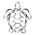 Graphic sea turtle, flat style, vector