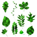 Hand draw green leaves with grunge effect Royalty Free Stock Photo