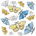 Hand draw illustration butterfly silkworm. For textil, wedding, beautiful background.