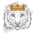 Hand draw Image Portrait tiger in the crown. Use for print, posters, t-shirts. Hand draw vector illustration