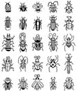 Hand draw insect icon