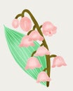 Hand draw of Lily of the walley Tree illustration Royalty Free Stock Photo