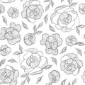 Hand draw line seamless vector pattern flowers set. Peony illustration. Logo design. For wedding cards, invitation card Royalty Free Stock Photo