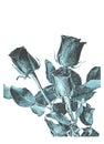 Hand draw rose flower and leaf in retro style