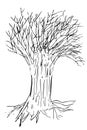 Hand Draw Sketch, Big Death Tree