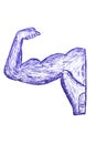 Hand Draw Sketch of Muscle Man Royalty Free Stock Photo