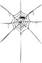 Hand Draw sketch, spider and web
