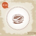 Hand draw sketch style fresh nutmeg mace. Spice and condiment vector illustration