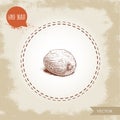Hand draw sketch style whole nutmeg. Spice and condiment vector illustration