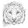 Hand draw tiger portrait. Hand draw vector illustration