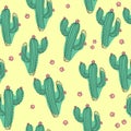 Hand draw vector cactus seamless pattern on isolated white background. ÃÂ¡ontinuous line drawing.