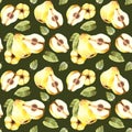 Hand draw watercolor illustration yellow quince whole and cut fruit with leaves. Seamless pattern Royalty Free Stock Photo