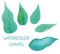 Hand draw watercolor leaves, sketch, green color, blue color, herbal ornament