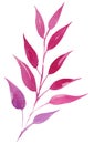 Hand draw watercolor leaves, sketch, purple color, pink color, herbal ornament