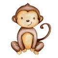 Hand draw watercolor monkey isolated