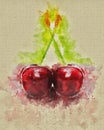 Hand draw watercolor painting cherry on colored background Royalty Free Stock Photo