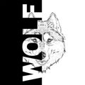 Hand draw wolf portrait. It may be used for design of bag, postcard and poster. Vector illustration