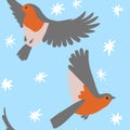 Hand drawin seamless pattern of wild robin bird on blue background. Red breat animal species with grey beige wings, cute