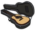 The accoustic guitar in a hard case