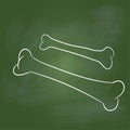 Hand drawing Bones on Green board -Vector illustration Royalty Free Stock Photo