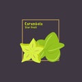 Hand drawing carambola, starfruit with slice on dark background.