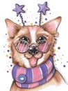 Hand drawing cartoon style children`s party birthday portrait cheerful dog corgi wearing glasses and stars