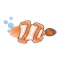 hand drawing clown fish coral anemone reef bubbles Royalty Free Stock Photo