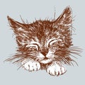 Hand drawing of cute sleeping kitten Royalty Free Stock Photo