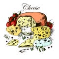 Hand drawing of dairy products, cheese, herbs and