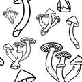 Hand drawing doodle mushrooms on white background. Seamless pattern. Kids, print, packaging, wallpaper, tablecloth, utensil design