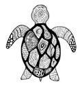 Hand drawing doodles and zentangle nautical art. Black and white sea turtle vector illustration Royalty Free Stock Photo