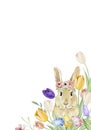 Hand drawing easter watercolor bunnies with branches and leaves. Watercolour cute rabbit illustration spring style.