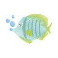 hand drawing exotic fish sealife freshwater bubbles Royalty Free Stock Photo