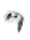 Hand drawing of a flying owl. Digital illustration
