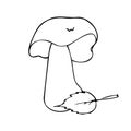 Hand drawing forest wild mushrooms. Can be used for menu design, label, badge, recipe, packaging. Royalty Free Stock Photo