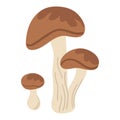 Hand drawing forest wild mushrooms. Can be used for menu design, label, badge, recipe, packaging. Royalty Free Stock Photo