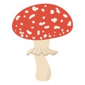 Hand drawing forest wild mushrooms. Can be used for menu design, label, badge, recipe, packaging. Royalty Free Stock Photo