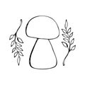 Hand drawing forest wild mushrooms. Can be used for menu design, label, badge, recipe, packaging. Royalty Free Stock Photo