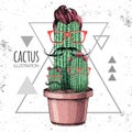 Hand drawing hipster cactus with mustache vector illustration on grunge triangle background