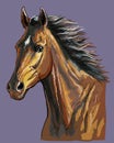 Hand drawing horse portrait vector 23 Royalty Free Stock Photo