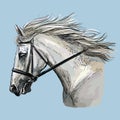 Hand drawing horse portrait vector 30 Royalty Free Stock Photo