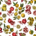 Hand drawing illustratiion pomegranate and citrus colorful. Vector illustration fruit pattern