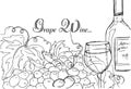 Hand drawing. Illustration of a bottle of wine and a bunch of grapes. Gastronomic card.