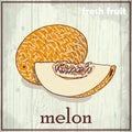 Hand drawing illustration of melon. Fresh fruit sketch background