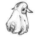 Hand drawing illustration. Octopus Dumbo. Royalty Free Stock Photo