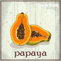Hand drawing illustration of papaya. Fresh fruit sketch background