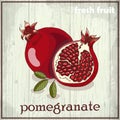 Hand drawing illustration of pomegranate. Fresh fruit sketch background